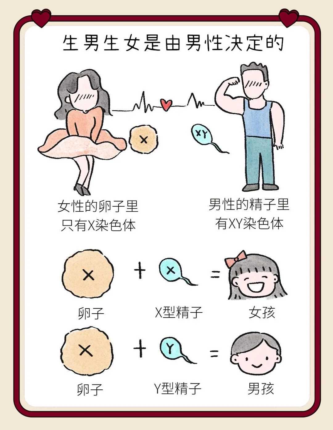 丰城供卵代怀，做供卵代怀试管代生取精前禁欲多少天