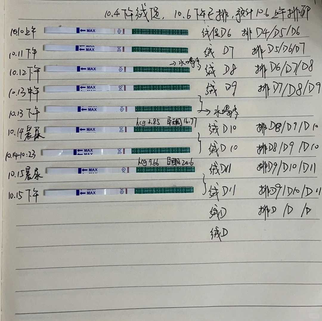 上海试管代怀生子机构排名？附试管助孕机构一览！