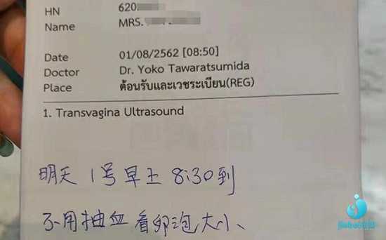 高龄借卵生子_高龄女性做泰国试管婴儿成功率有多少
